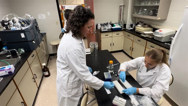 Leading Swine Research for Future Generations
