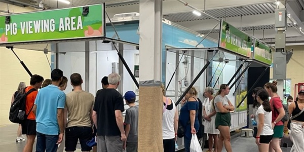 Pig Mobile Educates Big Crowds at CNE in Toronto