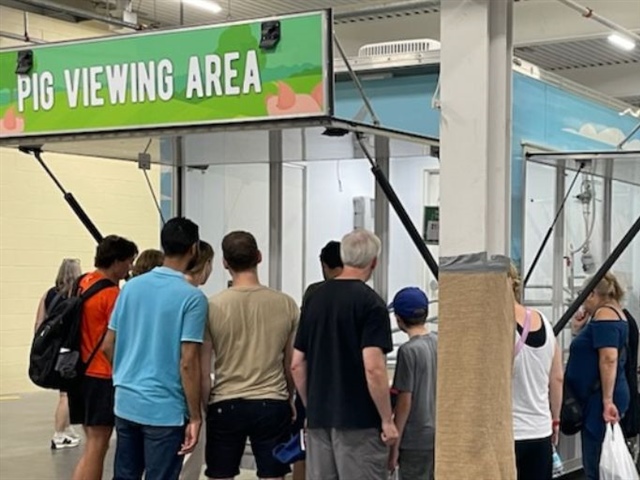 Pig Mobile Educates Big Crowds at CNE in Toronto
