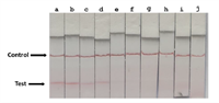 Development of boar taint detection kits for use in commercial packing plants; phase II