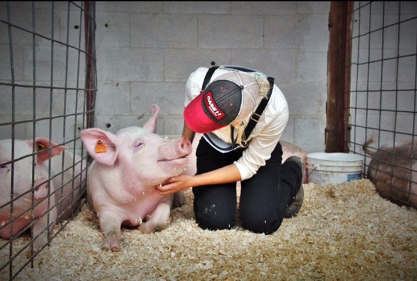 #OntarioPorkProud photo contest winners
