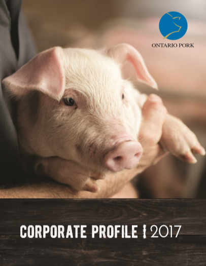 2017 Corporate Profile
