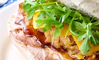 Canadian Health Claim Feasibility Assessment Report for Pork Products