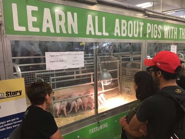 Pig Mobile at the CNE