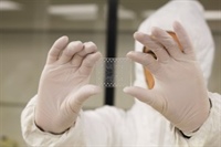 Trial study of on-farm point-of-care PRRSV diagnostic test