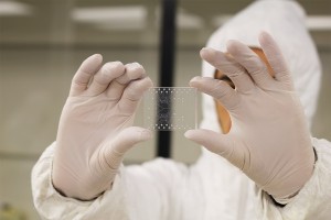Trial study of on-farm point-of-care PRRSV diagnostic test