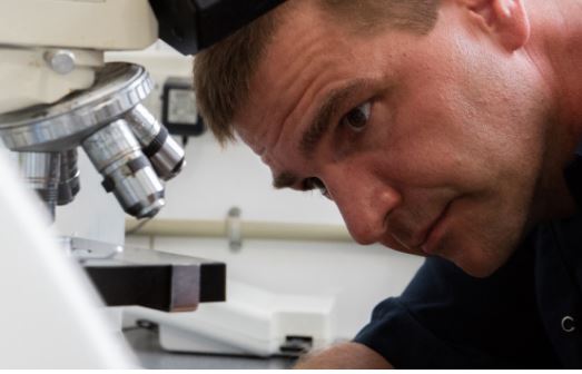 Ontario Pork funds seven new swine research projects