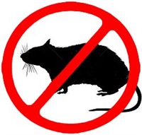 Rodenticide Ingestion in Swine:  A Project to Assist Veterinarians with Detection and Establishing Withdrawal Times