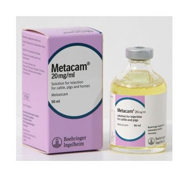 Pain control for castration and tail docking