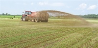 Advancing 4R Nutrient Stewardship for Sustainable Use of Phosphorus from Pig Manure Slurry for Crop Production