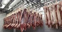 Development of boar taint detection kits using DNA aptamers for use in commercial packing plants. Phase 1: Lab validation