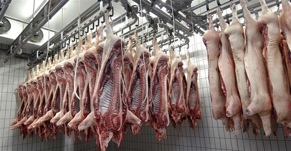 Development of boar taint detection kits using DNA aptamers for use in commercial packing plants. Phase 1: Lab validation