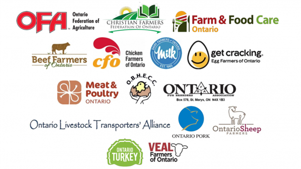 Security from Trespass and Protecting Food Safety Act, 2020: Protecting Ontario Farms and the Food System