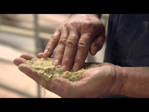 What Ontario Pigs Eat