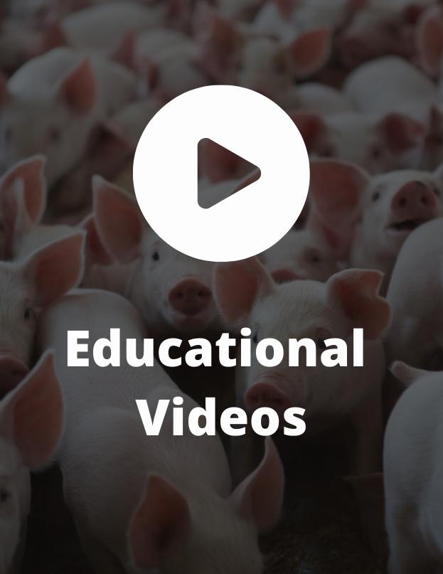 Educational Videos