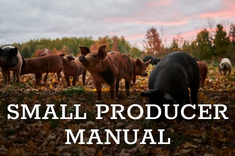 Small Scale Pig Farming in Ontario