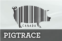 Pig Trace