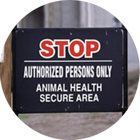 Biosecurity Thumbnail